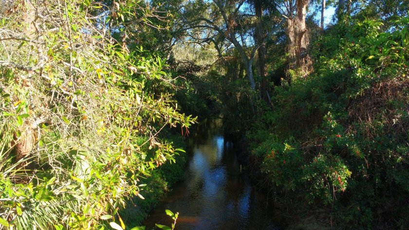 11Jan2018 on bridge over creek