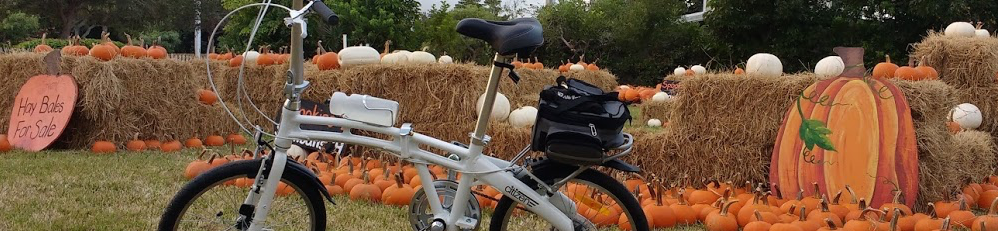 Pumpkins! / ¡Calabazas!