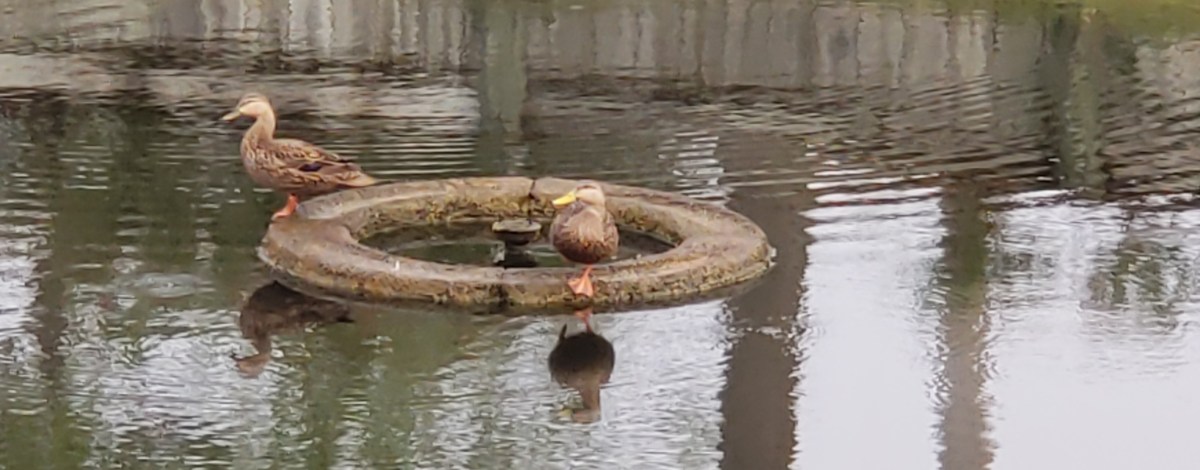 SE Central Parkway-Stuart,&nbsp;FL