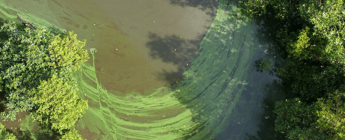 Stuart-Palm City 5-Mile Bike&nbsp;Loop