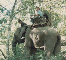 Elephant_riding_Thailand