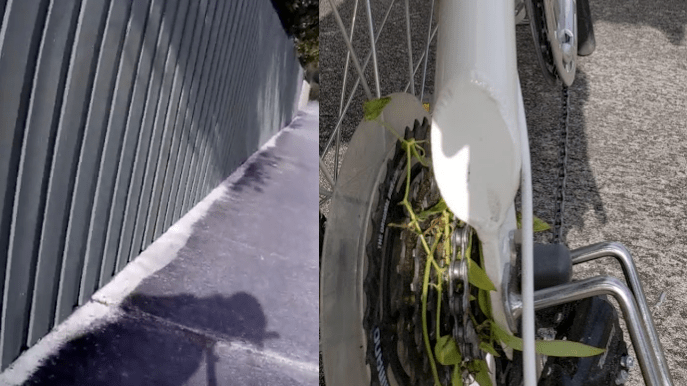 Palm City 5-mile Bike&nbsp;Loop