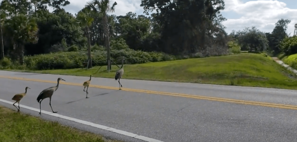 St Lucie Shores&nbsp;Neighborhood
